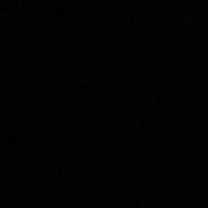 Meet your Posher, Ant