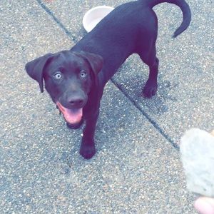 Meet your Posher, Jordyn