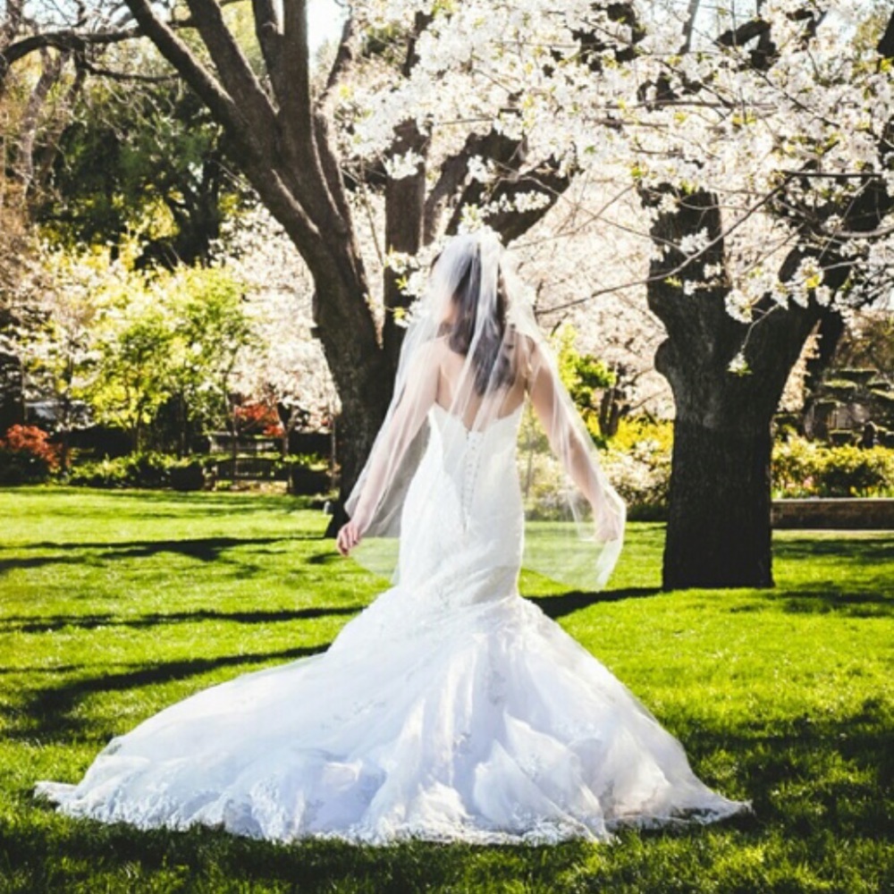 Ivory Wedding Veil