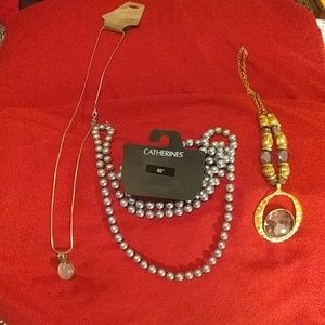 Gorgeous Costume Jewelry Lot Catherines Arizona
