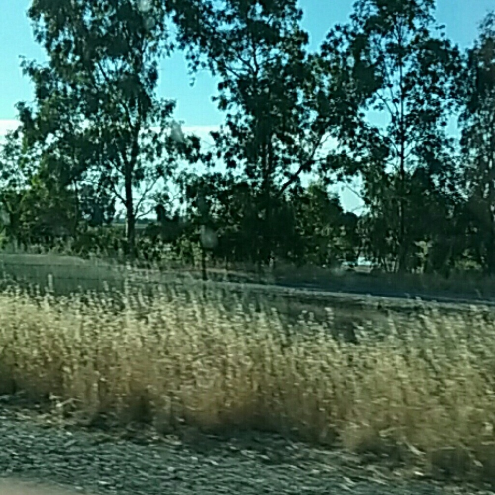 Meet your Posher, Desmond