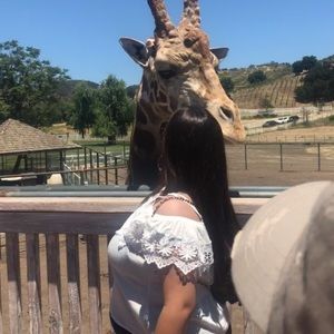 Meet your Posher, Marilyn