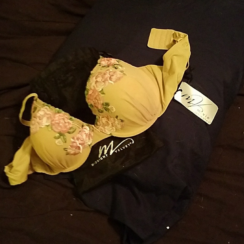 💕HOST PICK 6-20-17💕Midnight Velvet bra 40C