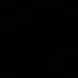 Meet your Posher, Derrick