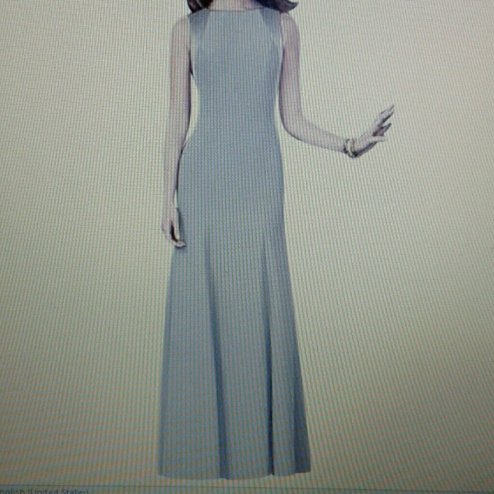 Sleeveless elegant platinum full length dress