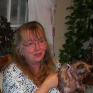 Meet your Posher, Ellen