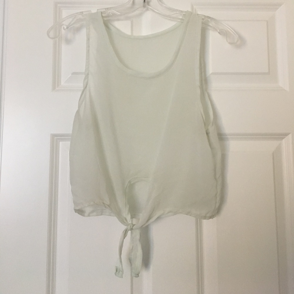 Brandy Sheer Crop Top