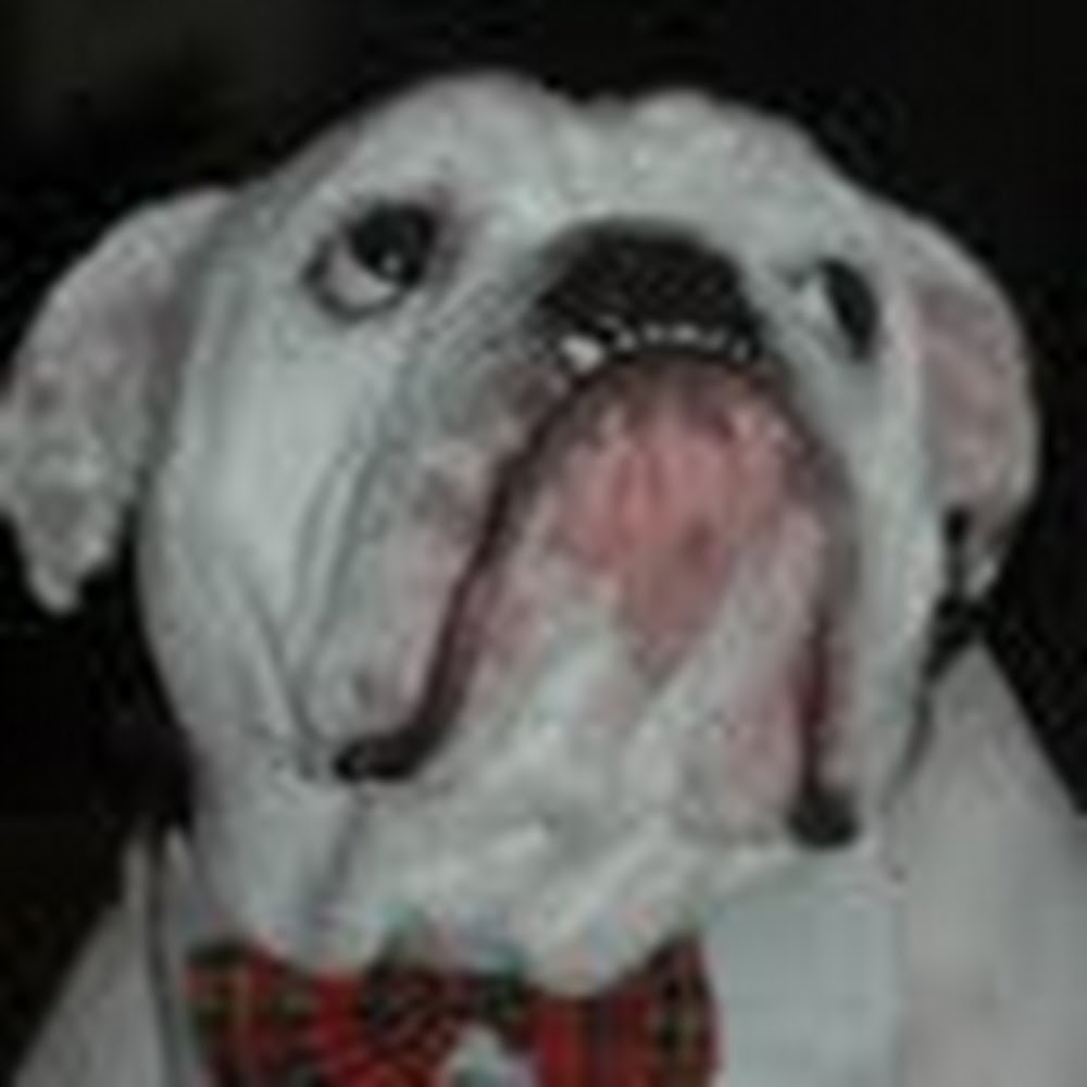 Meet your Posher, Barbara