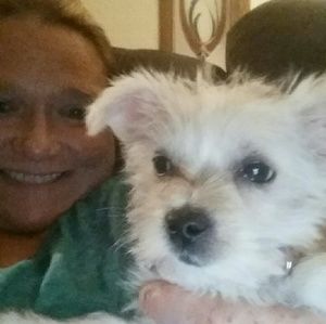 Meet your Posher, Alisha