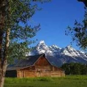 Meet your Posher, Shawn