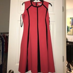 Calvin Klein Dress Size 6