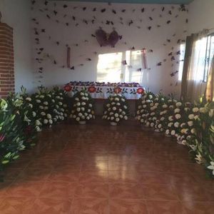 Meet your Posher, Jorge