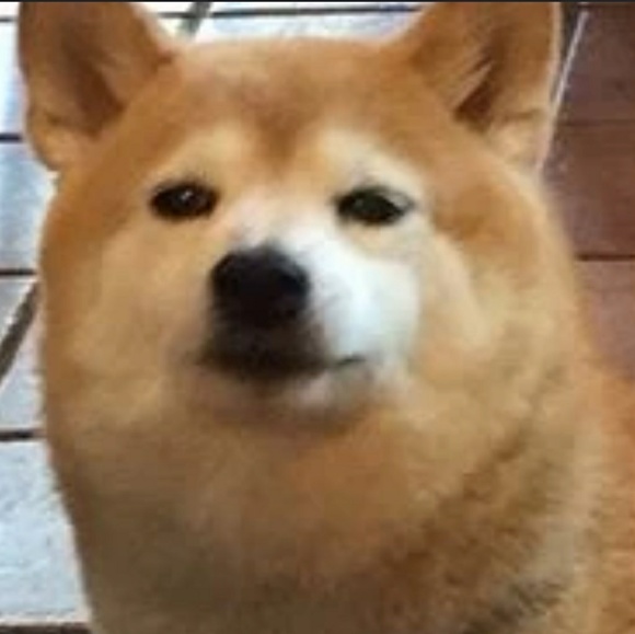 Meet your Posher, Chad - Picture 1 of 1