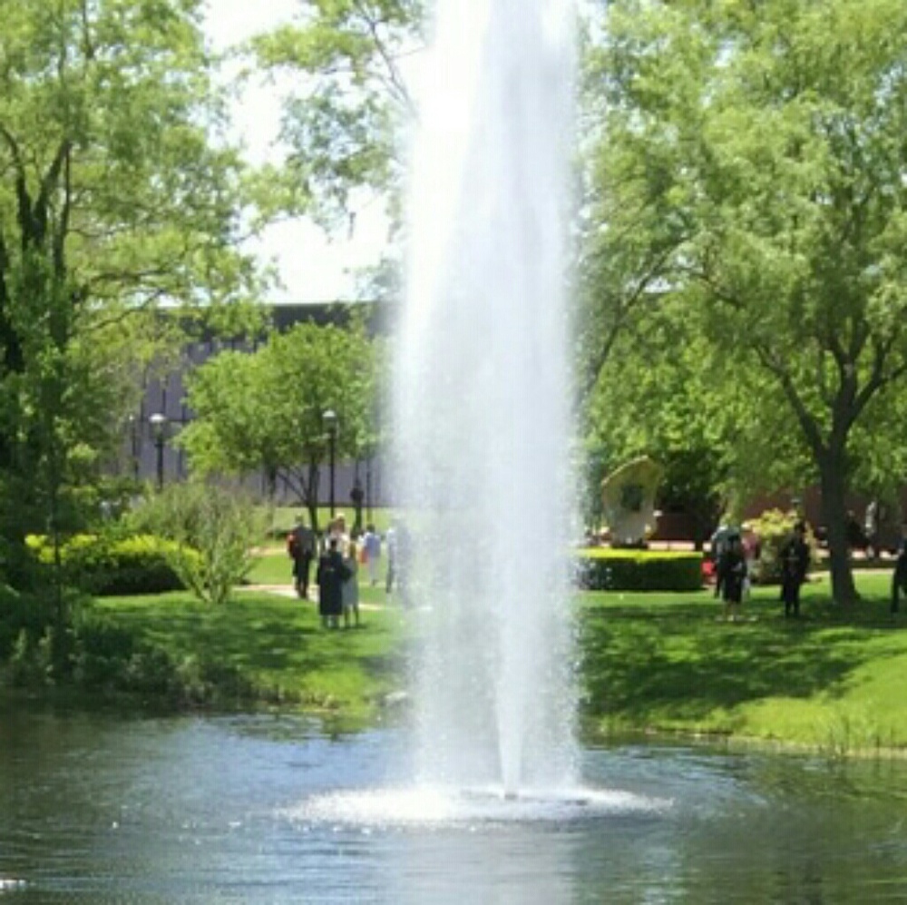 Meet your Posher, Steph