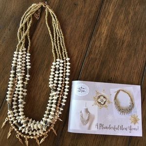 Beautiful plunder necklace