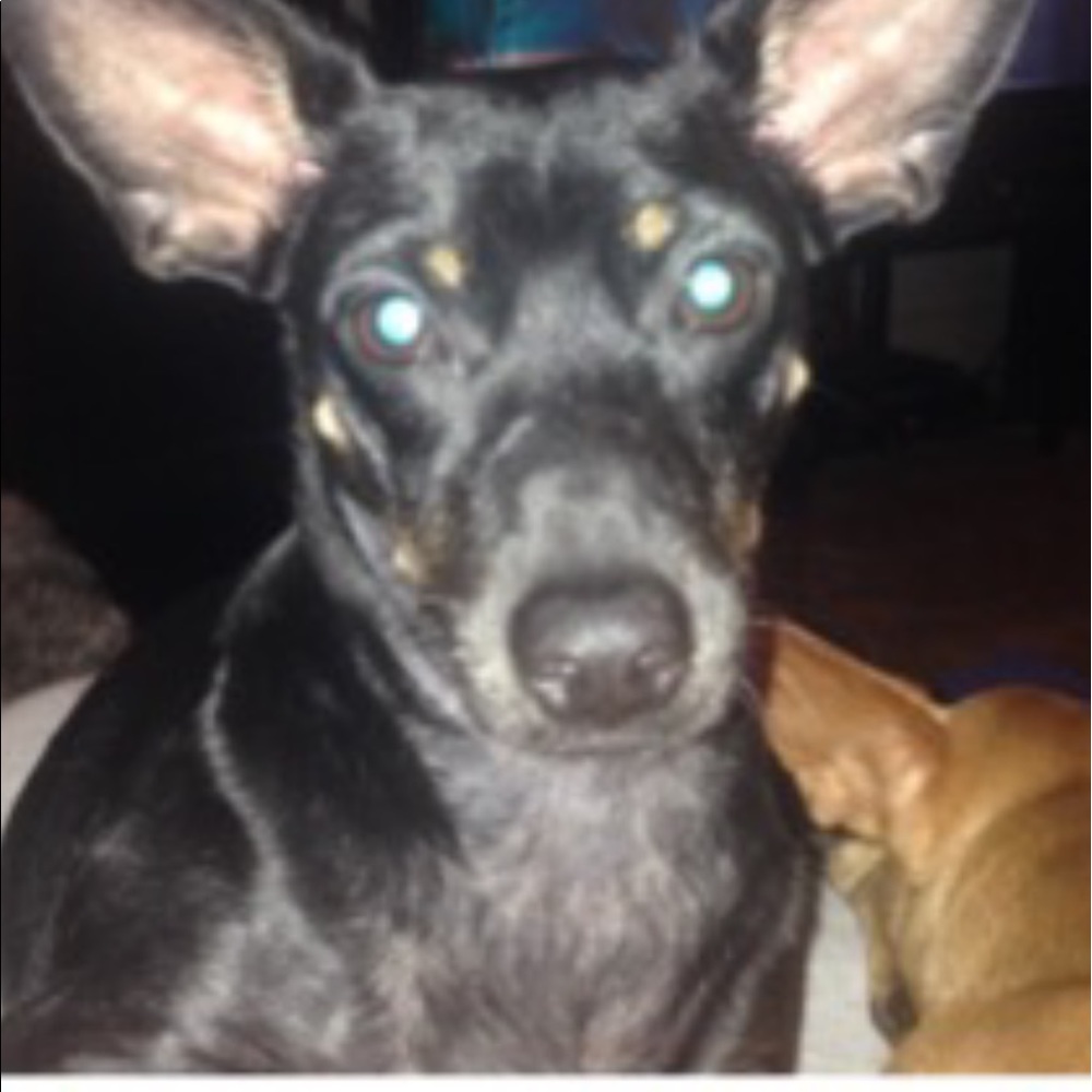 Meet your Posher, Elizabeth