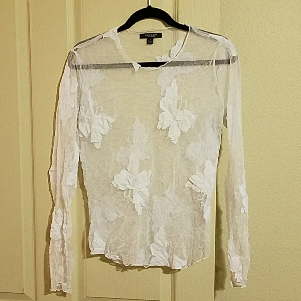 Karen Kane SHEER exquisite butterfly embroidery