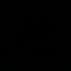 Meet your Posher, Nicholas