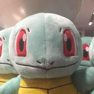 Meet your Posher, Hector