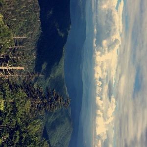 Meet your Posher, Aleena