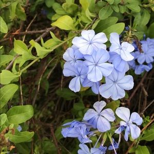 Meet your Posher, Mack