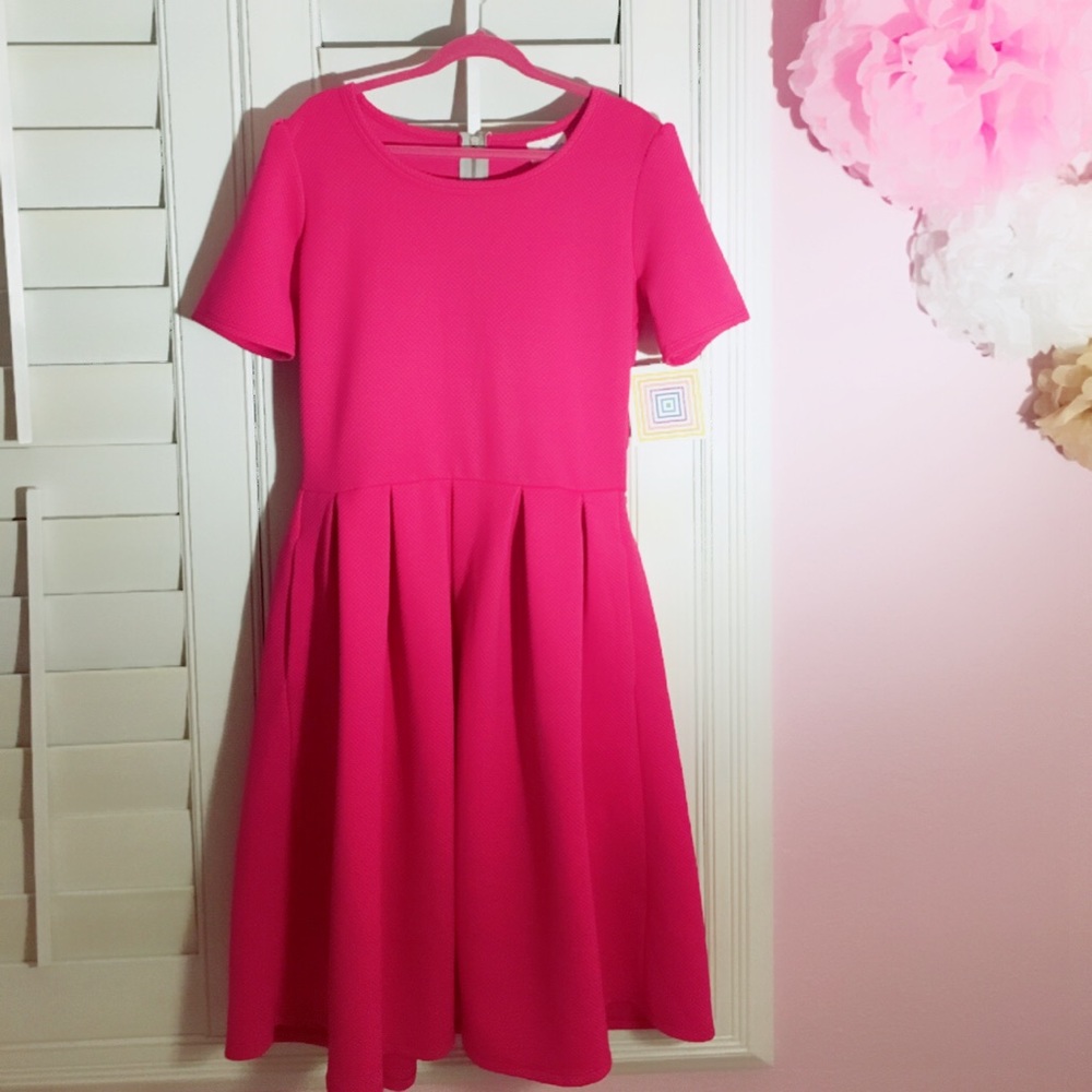BNWT Pink LulaRoe Amelia dress
