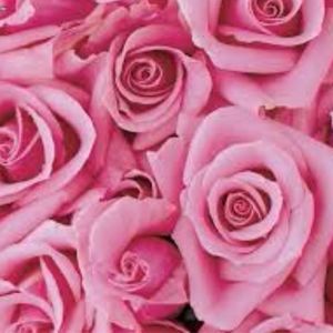 Meet your Posher, Loke