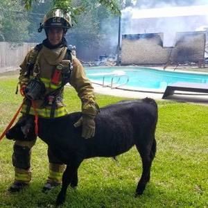 Meet your Posher, Blake