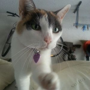 Meet your Posher, Lucy