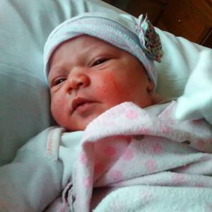 Meet your Posher, Davidandwhitney