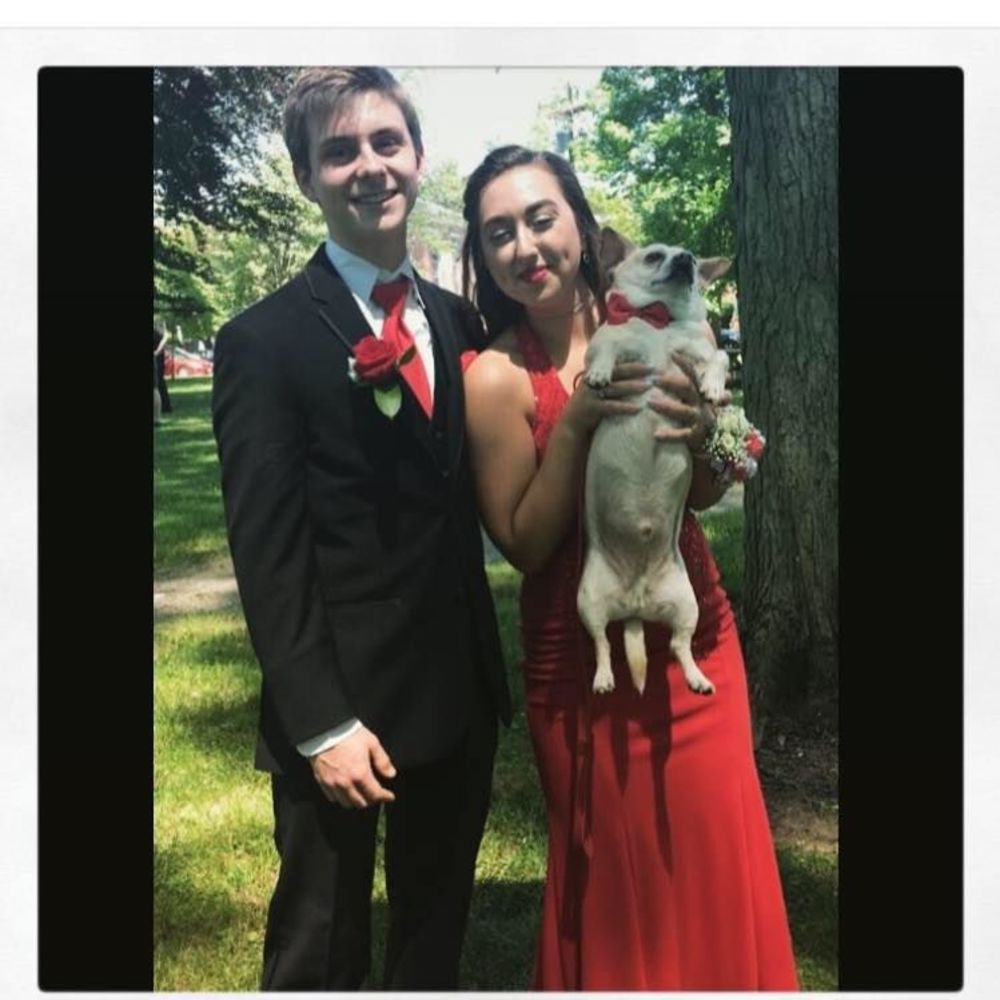 Meet your Posher, Taylor