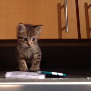 Meet your Posher, Mike