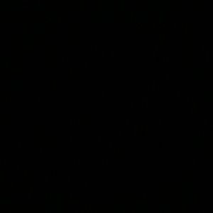 Meet your Posher, Yenifer