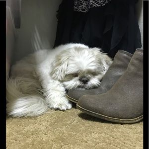 Meet your Posher, Angela