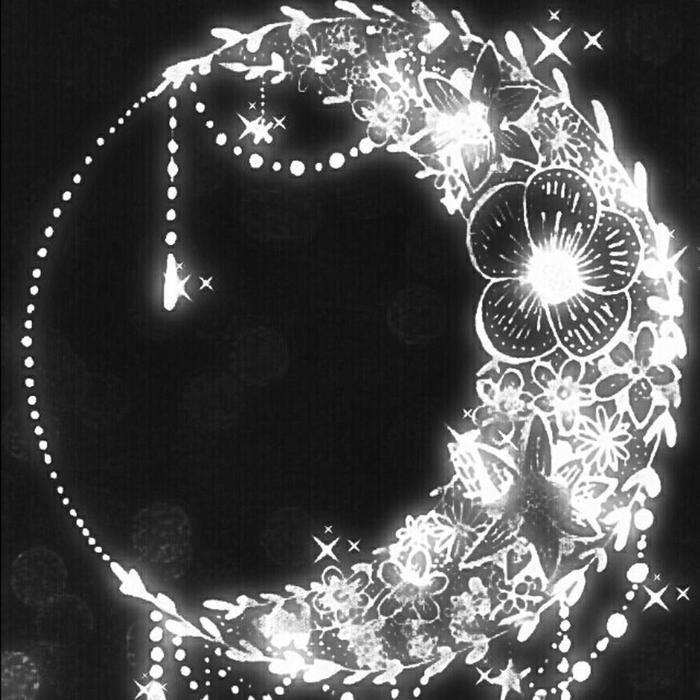 Meet your Posher, Tania