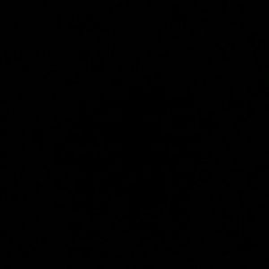 Meet your Posher, Kara