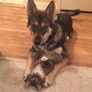 Meet your Posher, Erin