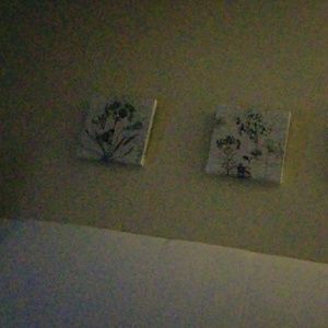 Meet your Posher, Akberet