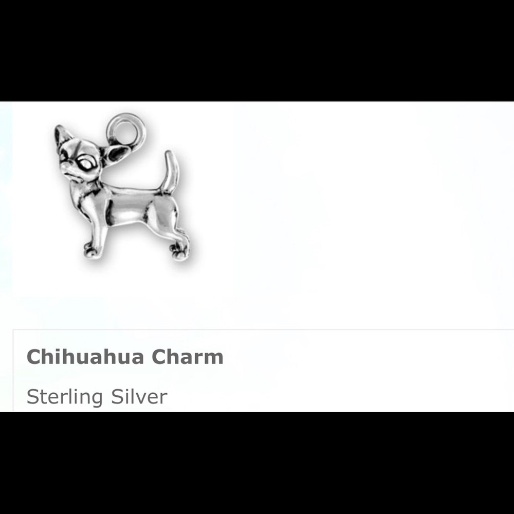 Chihuahua Dog Charm