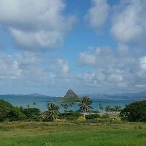 Meet your Posher, June