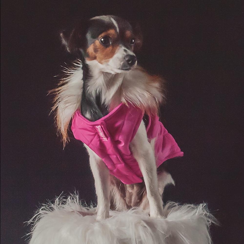 Pink Dog Coat with Fur Collar