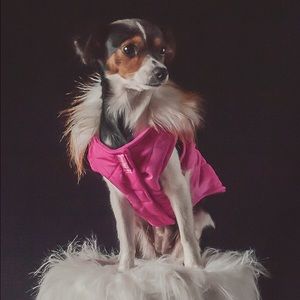 Pink Dog Coat with Fur Collar