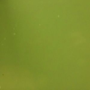 Meet your Posher, Sherry