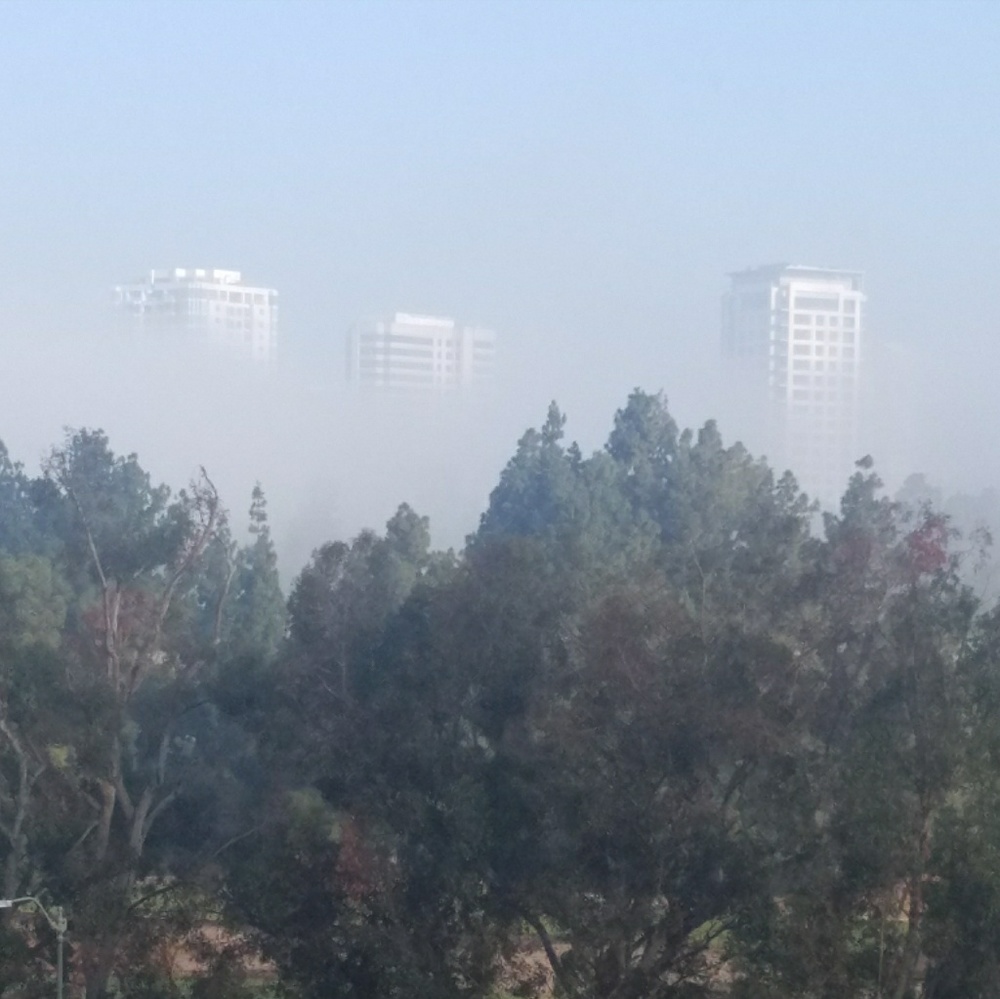 Meet your Posher, Richard