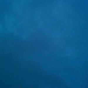 Meet your Posher, Luis