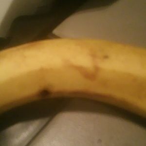 Meet your Posher, Bobby