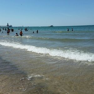 Meet your Posher, Dolly