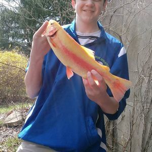 Meet your Posher, Ethan