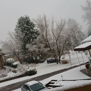 Meet your Posher, Billy