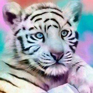 Meet your Posher, Carrie